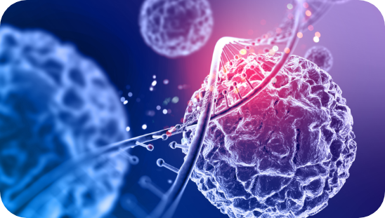 Optimised Metabolic Activity